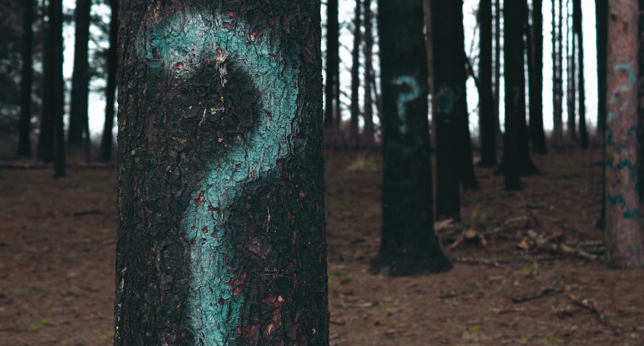 Tarmflora/mikrobiota - Hva er det?